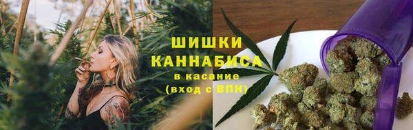 крисы Нефтекумск