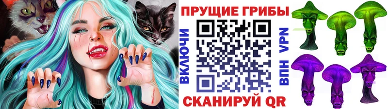 Галлюциногенные грибы Psilocybine cubensis  купить закладку  Ставрополь 